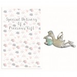 Baby Delights - Special Delivery/Precious Gift Boy (6 Pc)